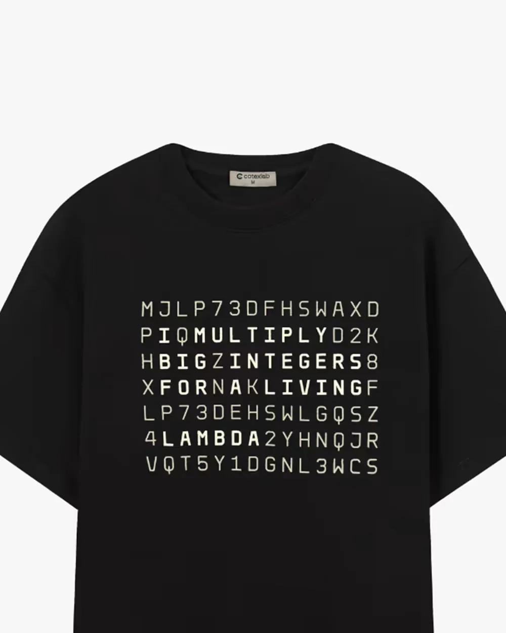 Lambda T-shirt — back view