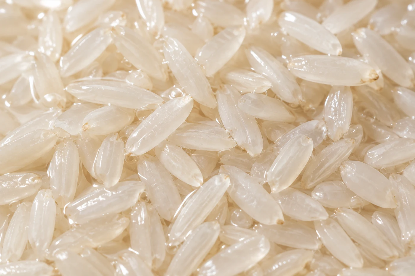Rice texture, photographed up close